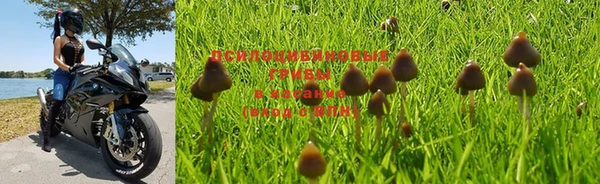 кокс Магадан