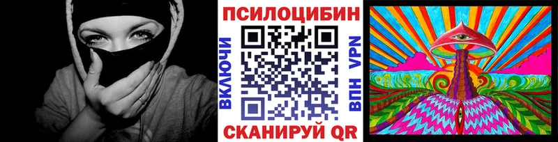 мега как зайти Липецк Галлюциногенные грибы Psilocybe